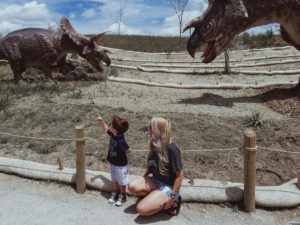 This place looks amazing! Field Station Dinosaurs is perfect if you're looking for family activities in Wichita, KS. This dinosaur park is one of the most popular kid-friendly activities in Derby, Kansas. Here's a real mom's review of Field Station Dinosaurs, so you can decide if it's worth the trip for your family.