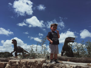 This place looks amazing! Field Station Dinosaurs is perfect if you're looking for family activities in Wichita, KS. This dinosaur park is one of the most popular kid-friendly activities in Derby, Kansas. Here's a real mom's review of Field Station Dinosaurs, so you can decide if it's worth the trip for your family.